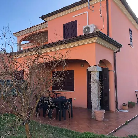 L'alzoni Lu Lioni
