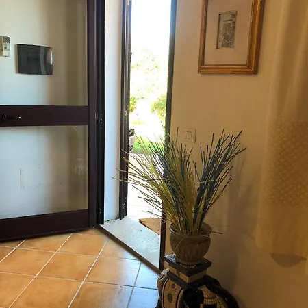 L'alzoni Lu Lioni