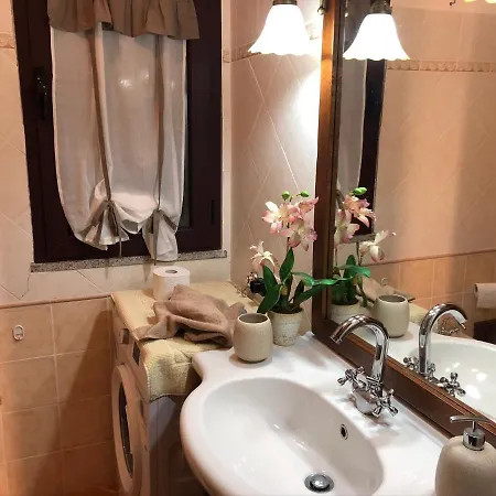L'alzoni Lu Lioni
