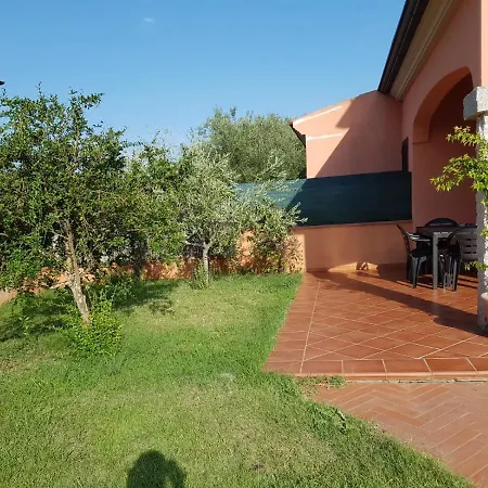 L'alzoni