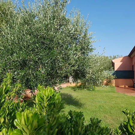 L'alzoni Lu Lioni